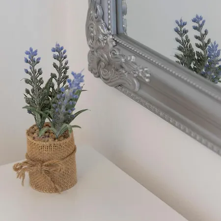 Violic ゲストハウス 3*