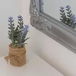 Violic 招待所 3*