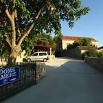 Violic 招待所 扎通