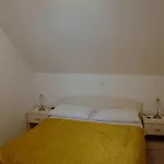 Violic 招待所