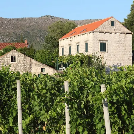 Violic Gasthuis Zaton (Dubrovnik-Neretva)