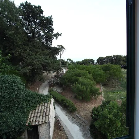 Violic Gasthuis Zaton (Dubrovnik-Neretva)