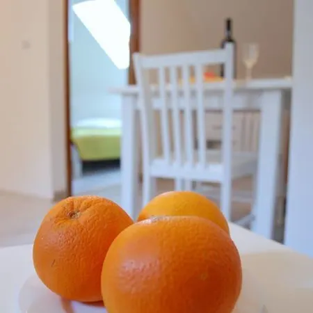 Violic Gasthuis