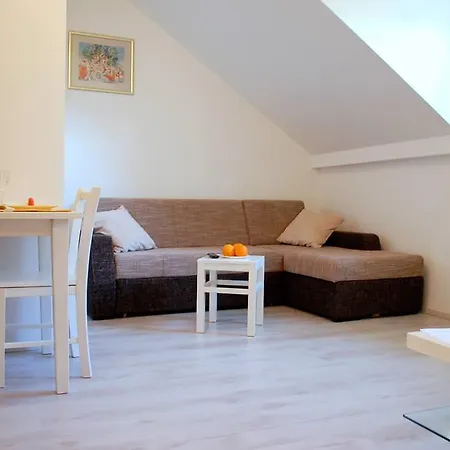 Gasthuis Violic 3*