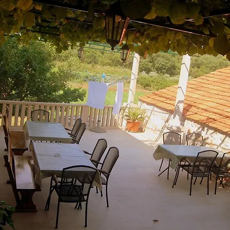 Violic Guest house